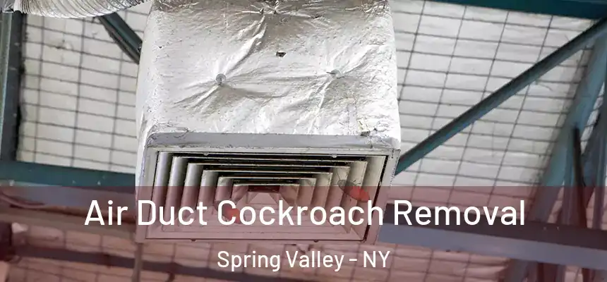  Air Duct Cockroach Removal Spring Valley - NY