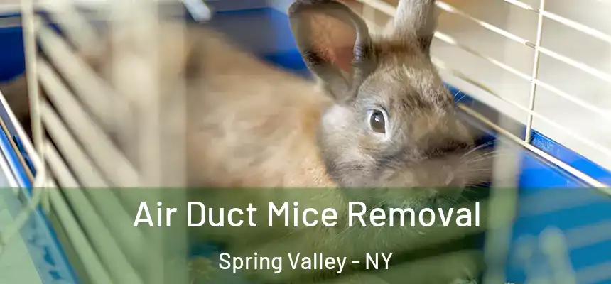  Air Duct Mice Removal Spring Valley - NY