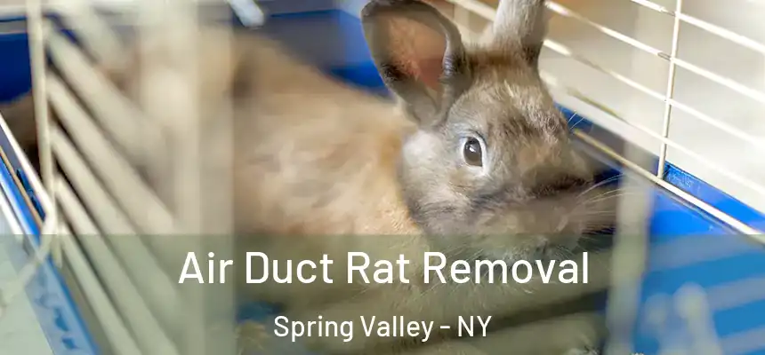  Air Duct Rat Removal Spring Valley - NY