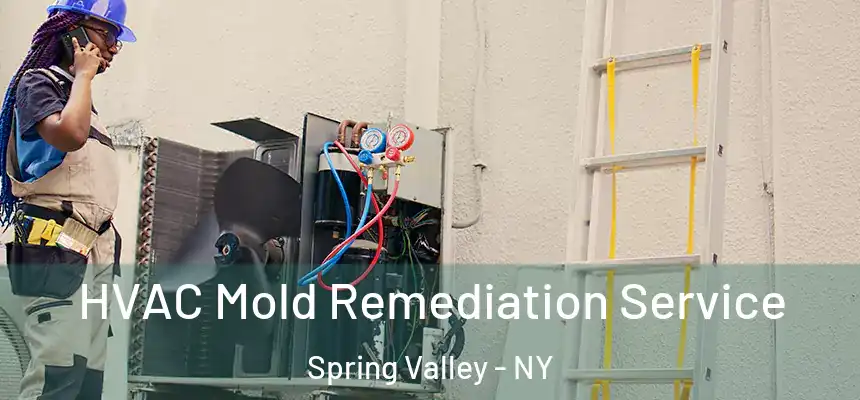  HVAC Mold Remediation Service Spring Valley - NY