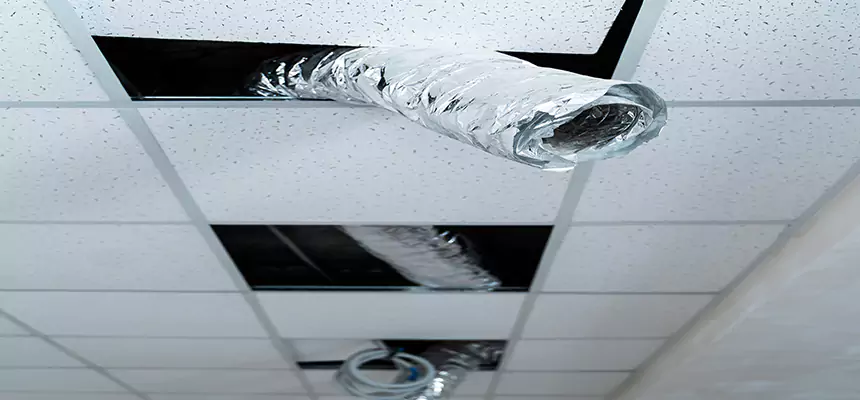 Affordable HVAC Sanitizing After Pest Removal in Spring Valley