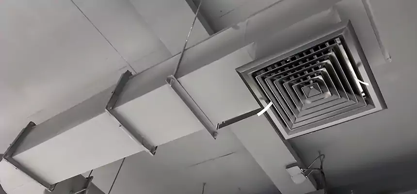 Our Pest Removal From Ducts Services in Spring Valley, NY