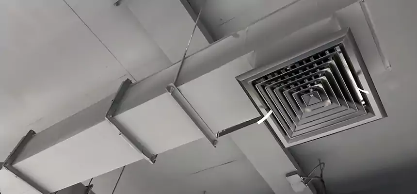 Our Rodent Droppings In Vents Services in Spring Valley, NY