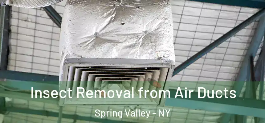  Insect Removal from Air Ducts Spring Valley - NY