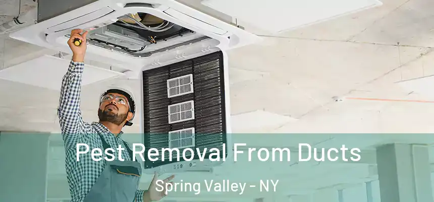 Pest Removal From Ducts Spring Valley - NY