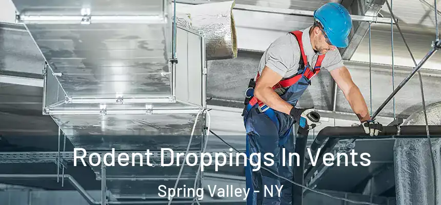 Rodent Droppings In Vents Spring Valley - NY