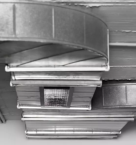 Professional Air Duct Pest Removal in Spring Valley, NY