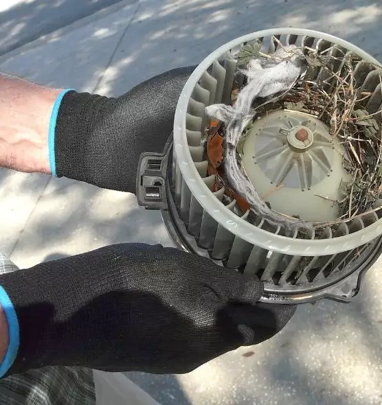 About Air Duct Rat Removal in Spring Valley, NY